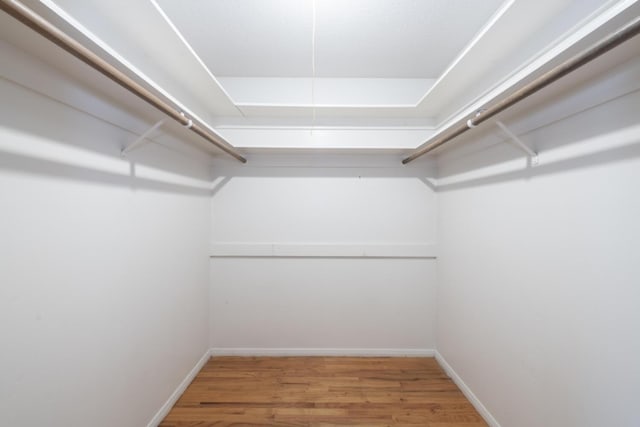 spacious closet featuring wood finished floors