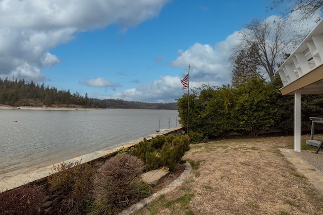 39118 Lake Dr, Bass Lake, CA 93604 - water view