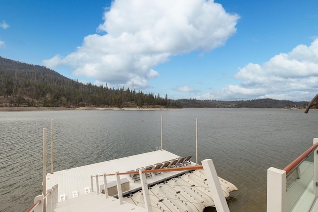 39118 Lake Dr, Bass Lake, CA 93604 - dock area with a water view and a view of trees
