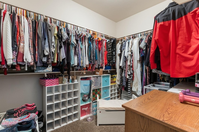 walk in closet with carpet flooring