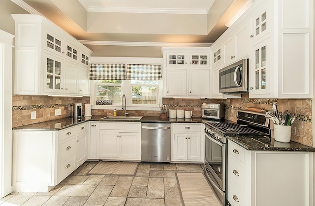 kitchen featuring a tray ceiling, stainless steel appliances, ornamental molding, white cabinets, and a sink