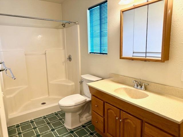 bathroom with a shower, vanity, and toilet