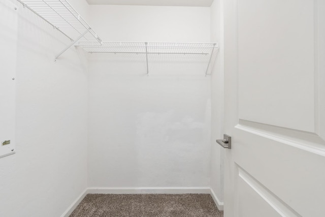 walk in closet featuring carpet