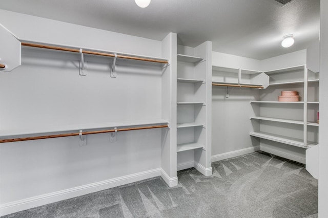 walk in closet with carpet flooring