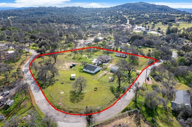 bird's eye view featuring a mountain view