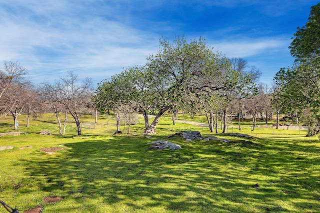 view of property's community featuring a yard