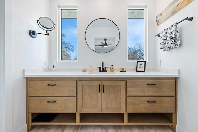 bathroom featuring wood finished floors and vanity