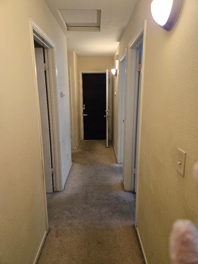 hall with attic access and carpet floors