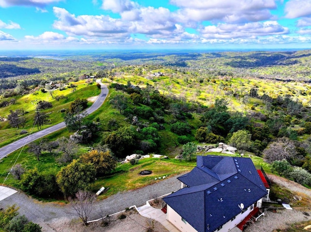 41015 Lilley Mountain Dr, Coarsegold, CA 93614 - photo 43