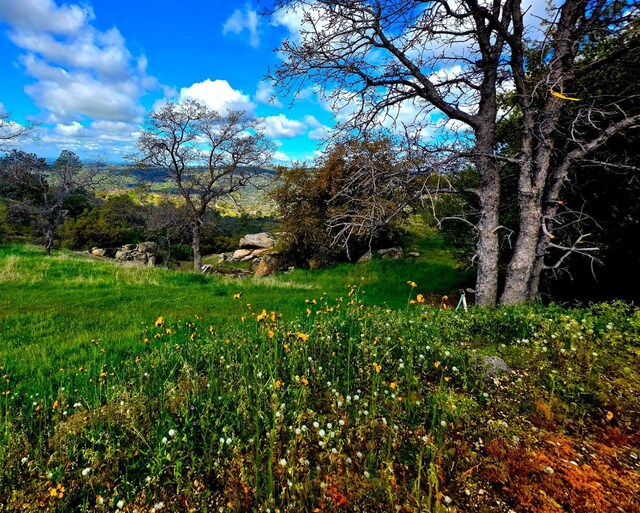 41015 Lilley Mountain Dr, Coarsegold, CA 93614 - photo 39