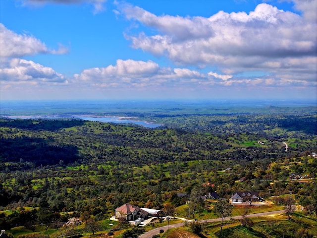 41015 Lilley Mountain Dr, Coarsegold, CA 93614 - photo 11