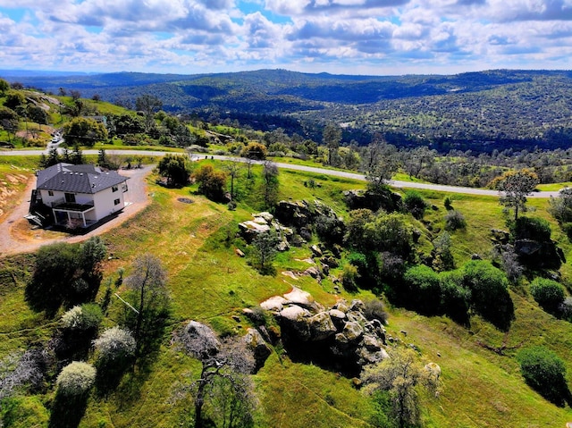 41015 Lilley Mountain Dr, Coarsegold, CA 93614 - photo 44