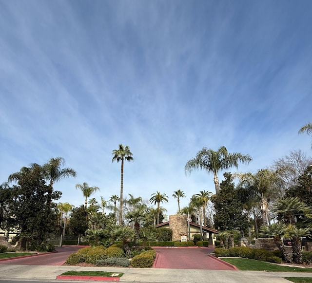 view of property's community featuring decorative driveway