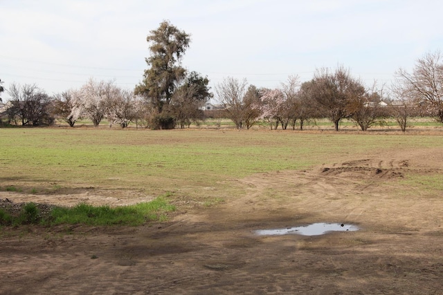 view of yard featuring a rural view