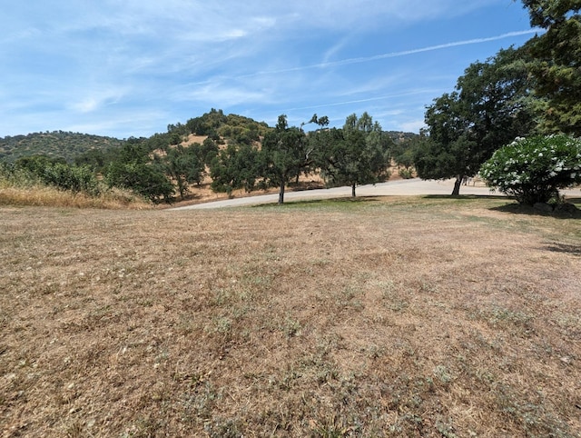 view of yard with a mountain view