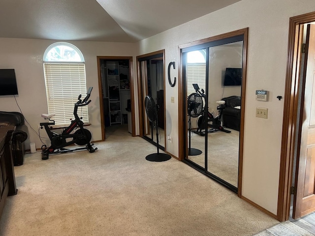 exercise room featuring baseboards and carpet