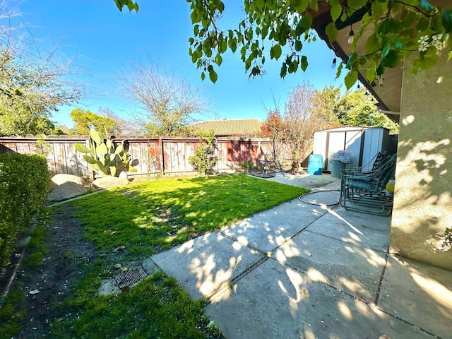 view of yard with an outdoor structure, a patio area, and a fenced backyard