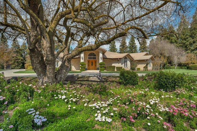 view of front of house featuring stone siding