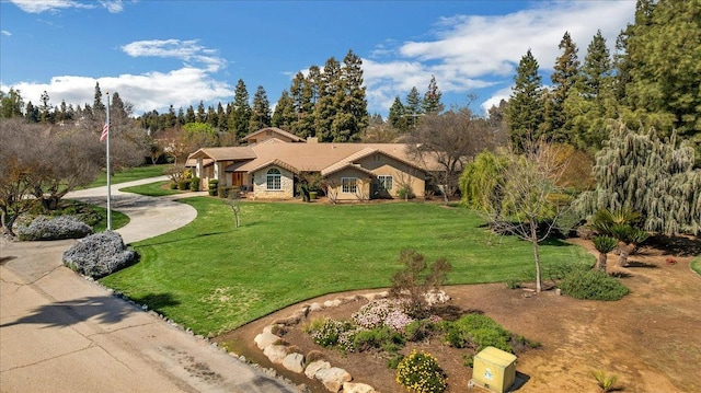 view of front of house with stone siding, driveway, and a front yard