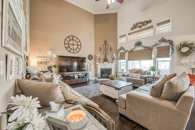 living room with a glass covered fireplace, a high ceiling, dark wood-style floors, and ornamental molding