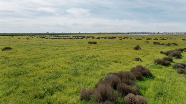 view of local wilderness with a rural view