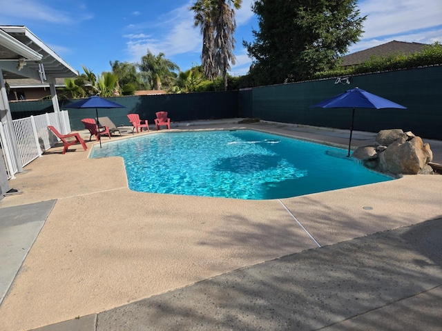 view of pool with a fenced in pool, a patio, and fence