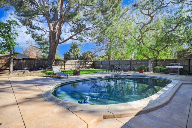 view of swimming pool featuring a patio, a fenced backyard, and grilling area