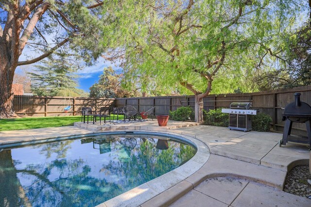 view of swimming pool with a grill, a fenced backyard, and a patio area