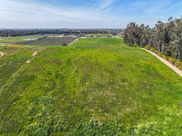 0 N Willow Blf, Clovis CA, 93619 land for sale