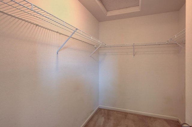 spacious closet featuring light colored carpet and a tray ceiling