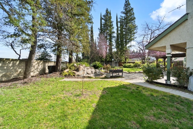 view of yard featuring a patio and a fenced backyard