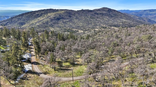 6170 Mount Bullion Ridge Rd, Mariposa CA, 95338 land for sale