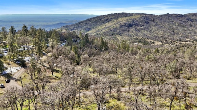 Listing photo 2 for 6170 Mount Bullion Ridge Rd, Mariposa CA 95338