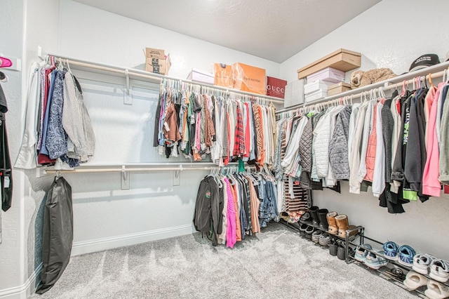 spacious closet featuring carpet floors