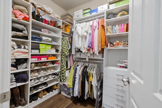 spacious closet featuring wood finished floors