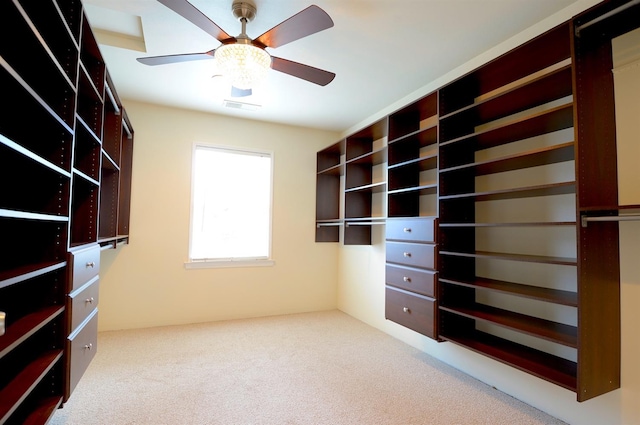 spacious closet with a ceiling fan, carpet, and visible vents