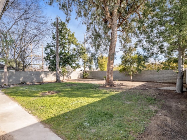 view of yard with a fenced backyard