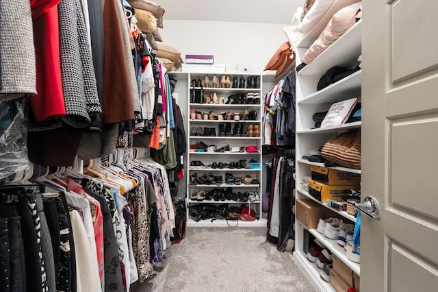 spacious closet featuring carpet flooring