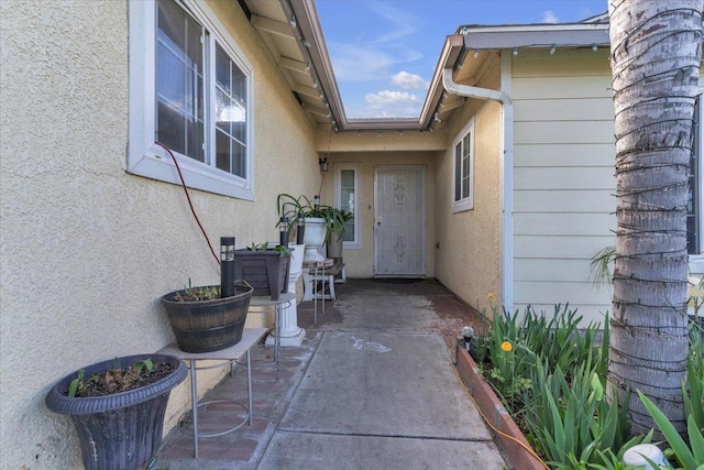 property entrance with a patio and stucco siding