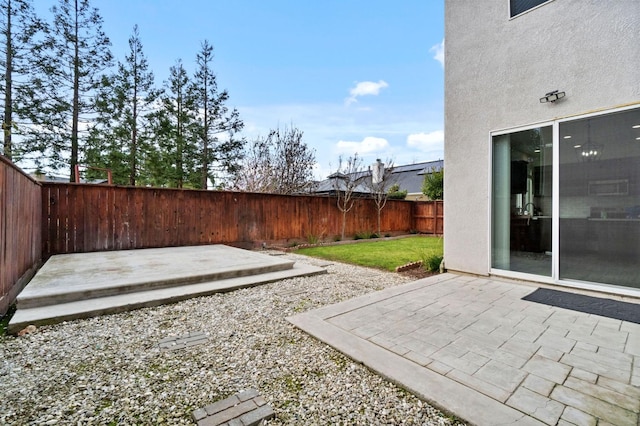 view of yard featuring a patio and a fenced backyard