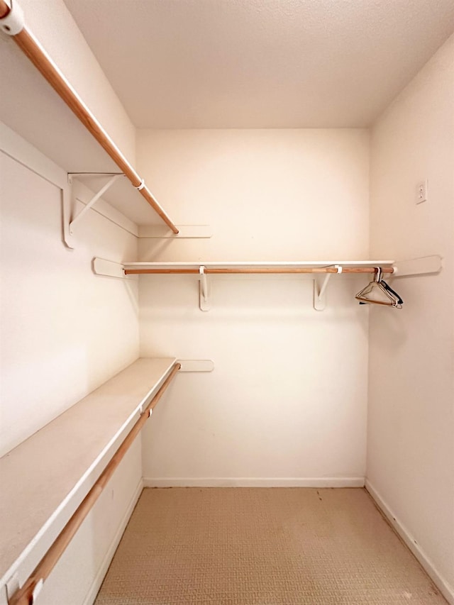 spacious closet featuring light colored carpet