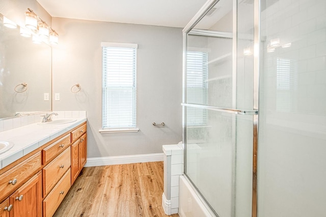 bathroom featuring wood finished floors, a healthy amount of sunlight, double vanity, and a sink