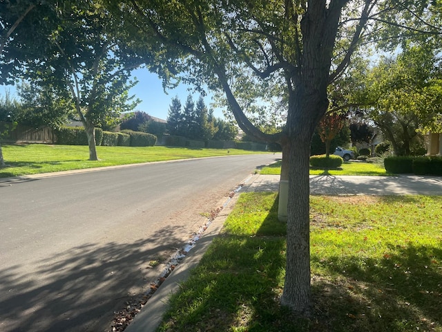 view of road featuring curbs