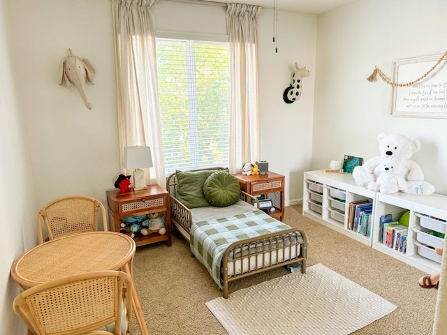 bedroom featuring multiple windows and carpet floors