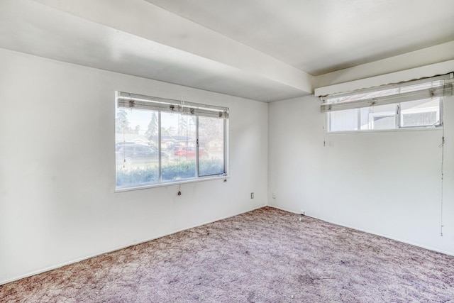 spare room with carpet floors