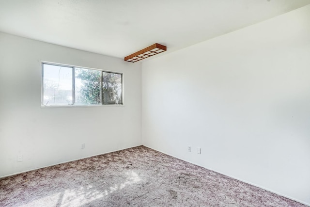 spare room featuring carpet flooring