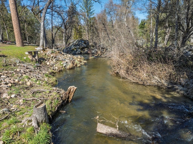 property view of water featuring a forest view