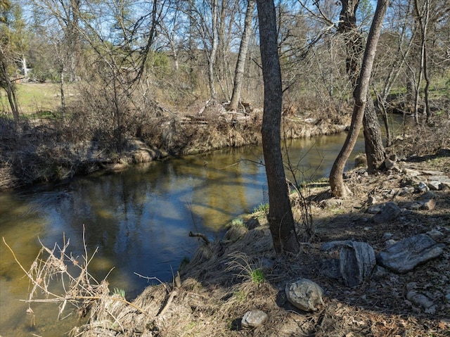 water view featuring a forest view