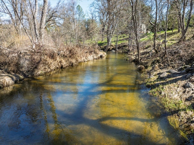 view of water feature featuring a forest view