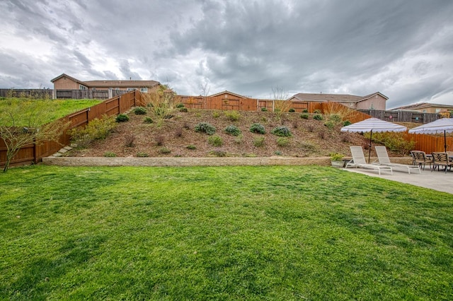 view of yard with a patio and a fenced backyard